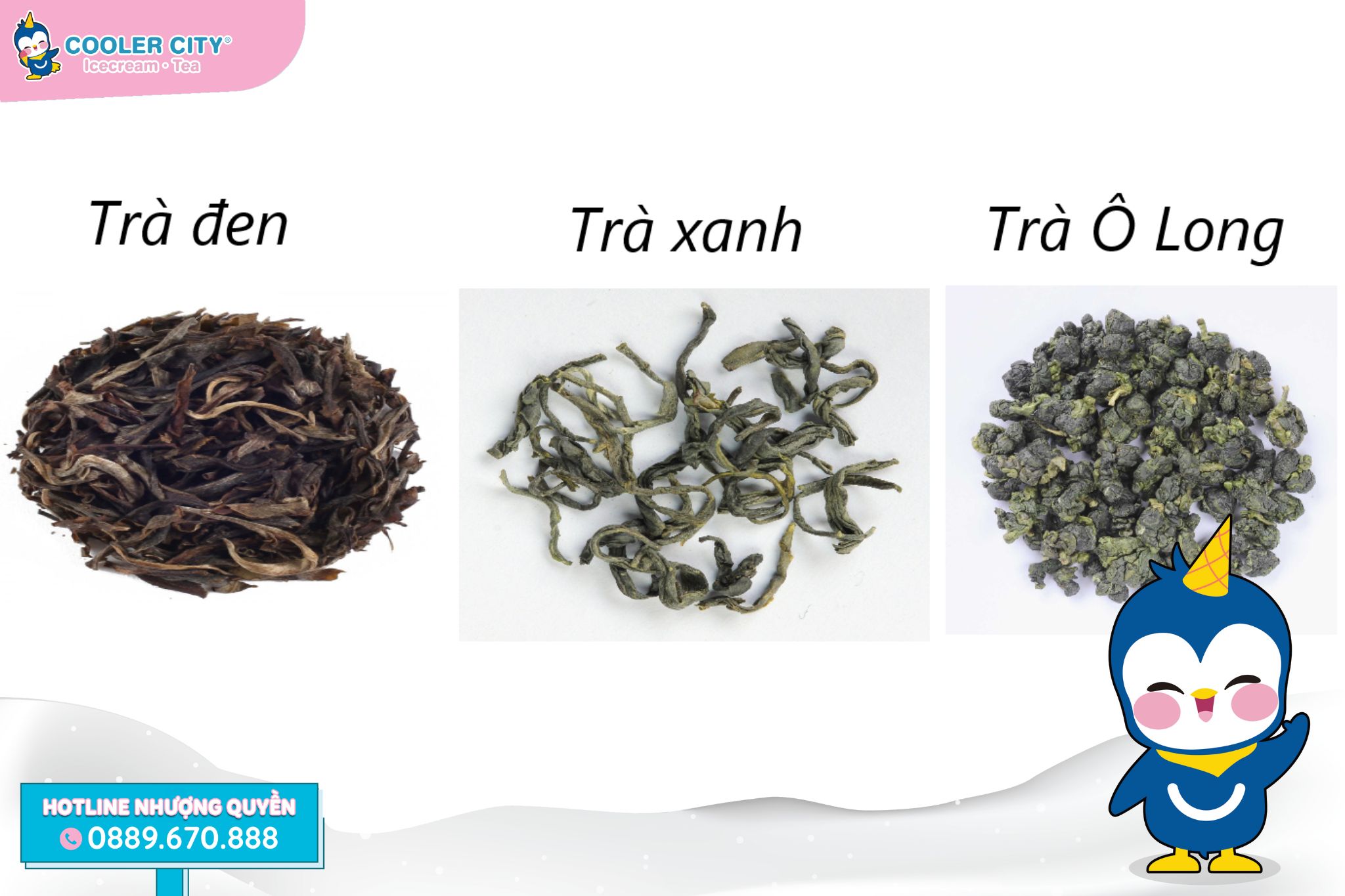 Nguyên liệu làm trà trái cây Trà là phần cực kỳ quan trọng trong khi chọn nguyên liệu làm trà trái cây nhiệt đới